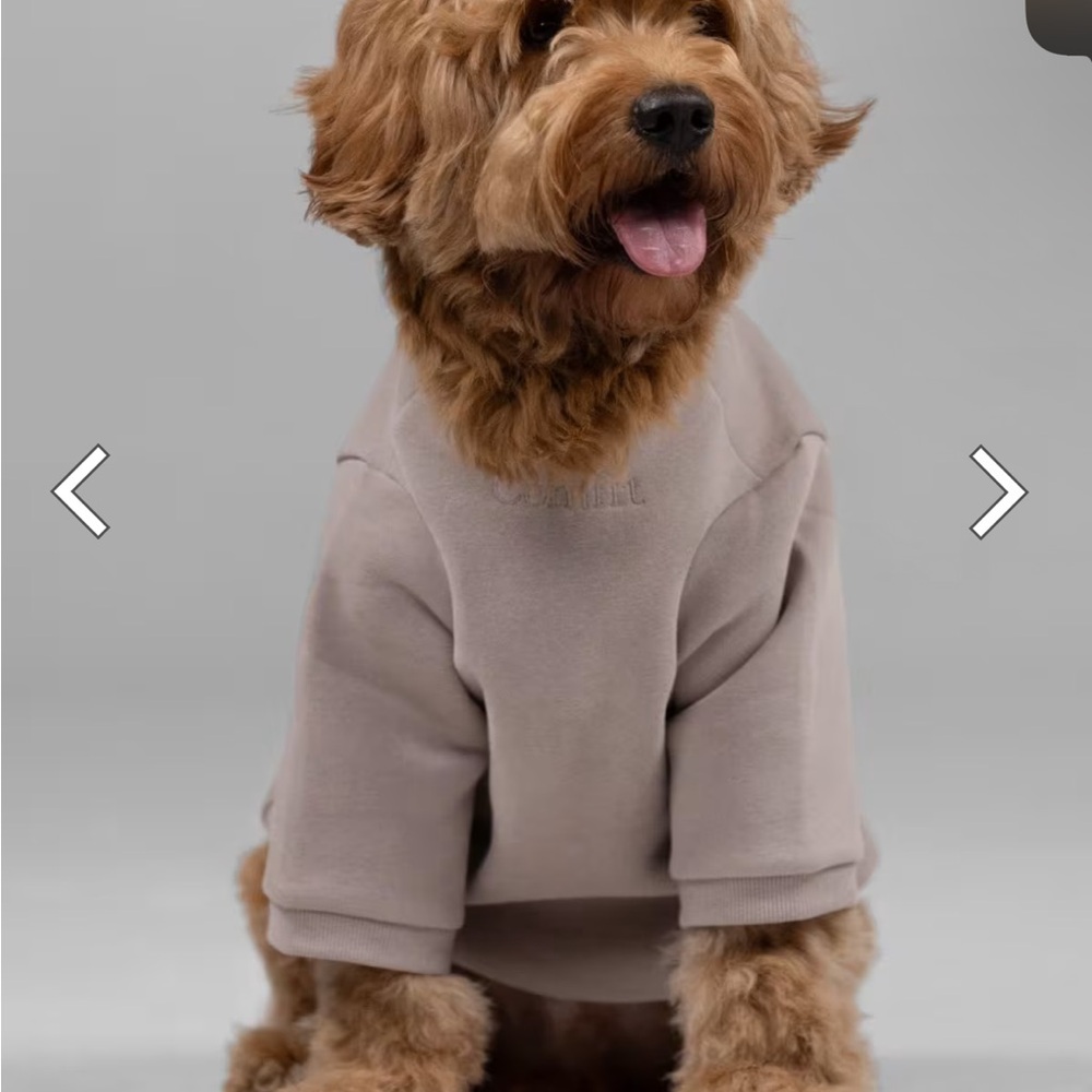 Comfrt Signature Paw Hoodie